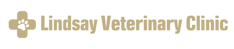 Lindsay Veterinary Clinic	 logo